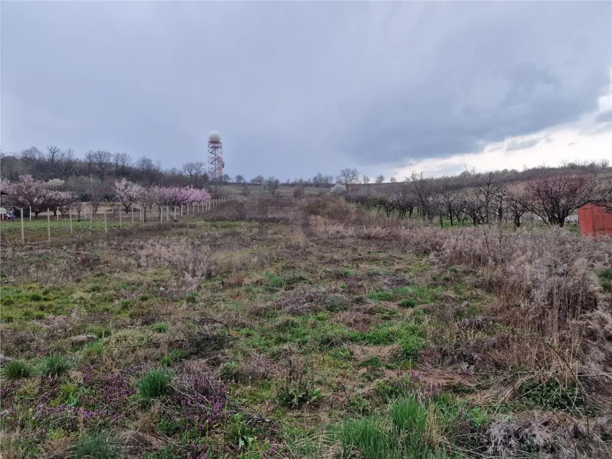 RECO Teren intravilan in Oncea, str. Prunilor - foto 3