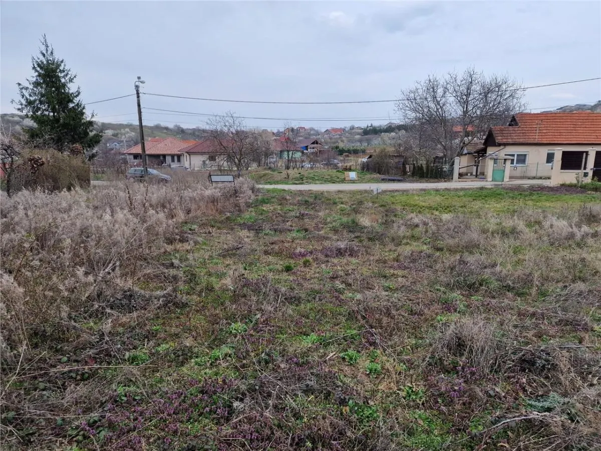 RECO Teren intravilan in Oncea, str. Prunilor - foto 4