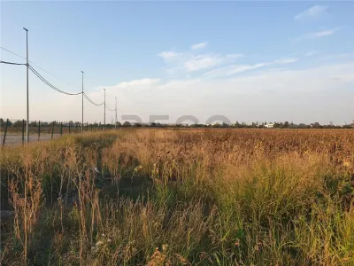 RECO Teren intravilan zona Borsului - foto 13
