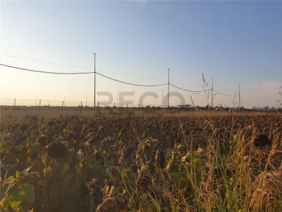 RECO Teren intravilan zona Borsului - foto 16