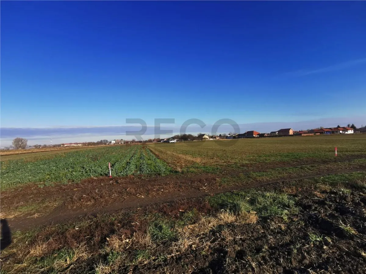 RECO Teren intravilan in Bors cu front la 2 strazi. - foto 4