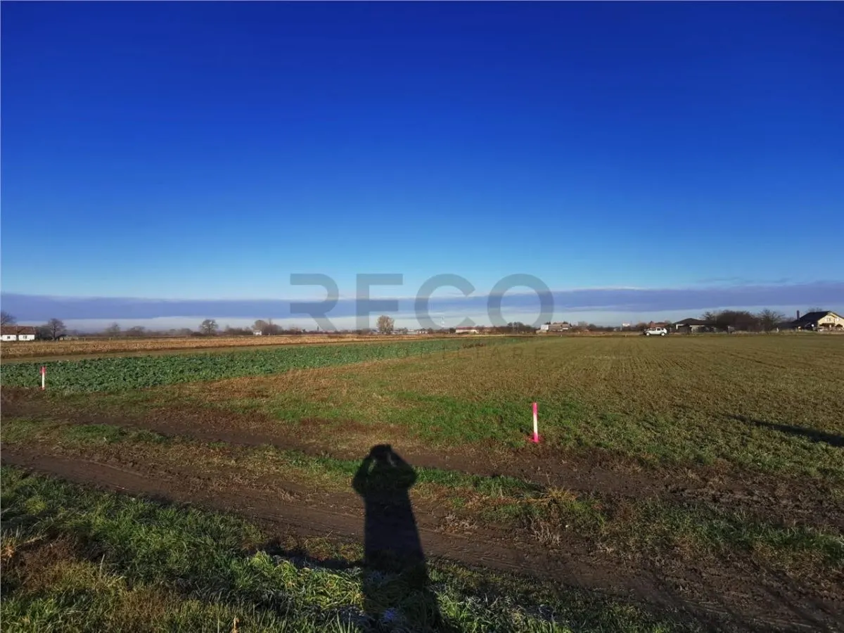 RECO Teren intravilan in Bors cu front la 2 strazi. - foto 6