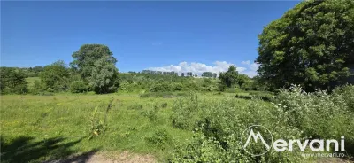 Teren intravila 40.679 mp in Campina - foto 2