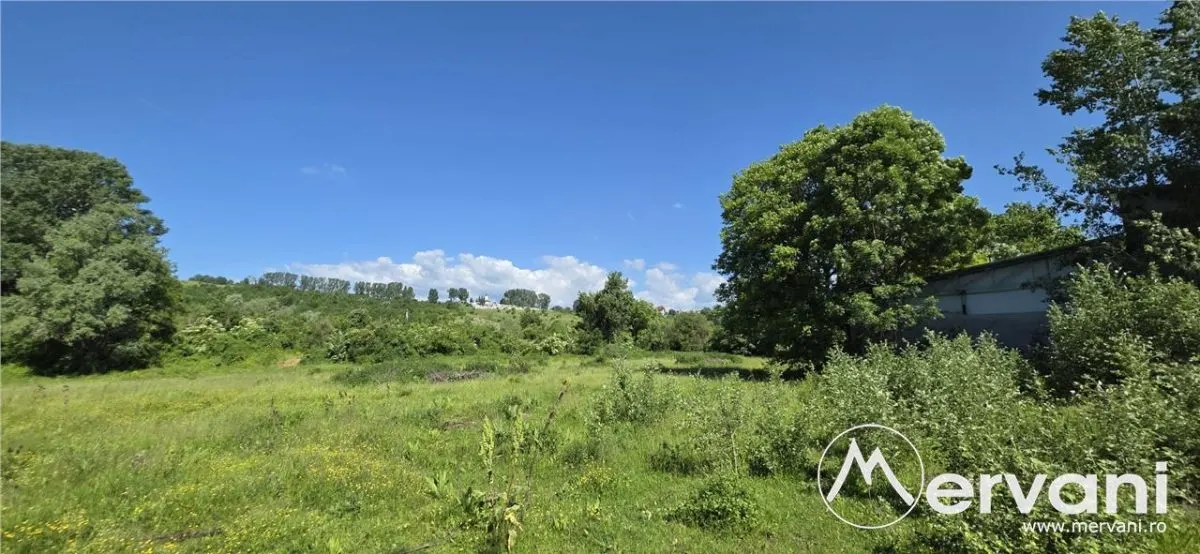 Teren intravila 40.679 mp in Campina - foto 6