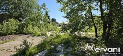Teren intravila 40.679 mp in Campina - foto 7