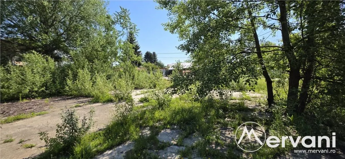 Teren intravila 40.679 mp in Campina - foto 7