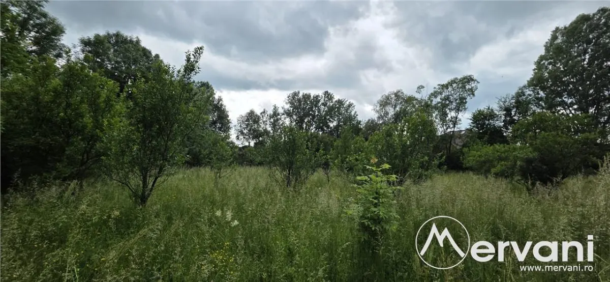 Vila de vanzare cu 6 camere si teren de 5116 mp in Cornu - foto 14