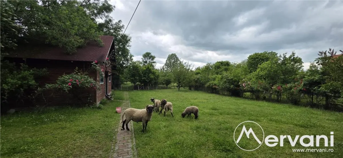 Vila de vanzare cu 6 camere si teren de 5116 mp in Cornu - foto 8