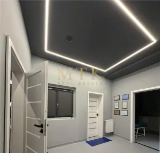 Vila moderna renovata complet | Clinica medicala la cheie | D+P+1E+M | AVIATORILOR - foto 17