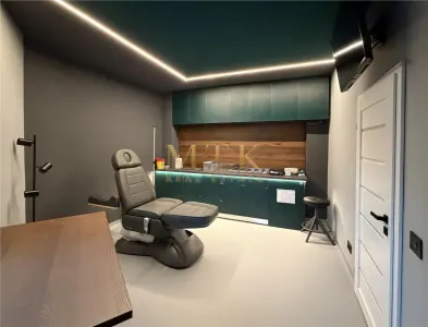 Vila moderna renovata complet | Clinica medicala la cheie | D+P+1E+M | AVIATORILOR - foto 3