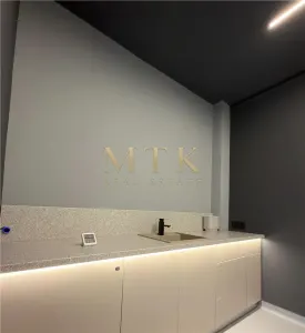 Vila moderna renovata complet | Clinica medicala la cheie | D+P+1E+M | AVIATORILOR - foto 8