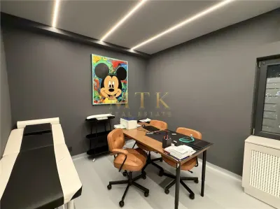 Vila moderna renovata complet | Clinica medicala la cheie | D+P+1E+M | AVIATORILOR - foto 10