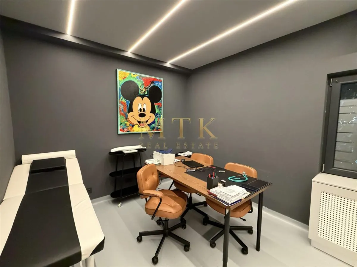 Vila moderna renovata complet | Clinica medicala la cheie | D+P+1E+M | AVIATORILOR - foto 10