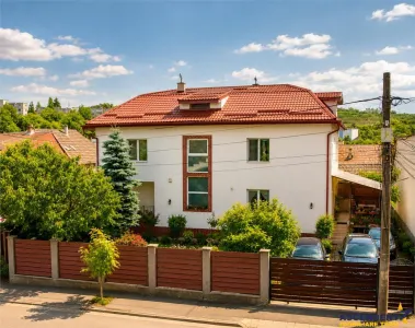 Vila distinctiva,2 intrari separate:locuire multifamiliala,activitati multidisciplinare - Targu Mures