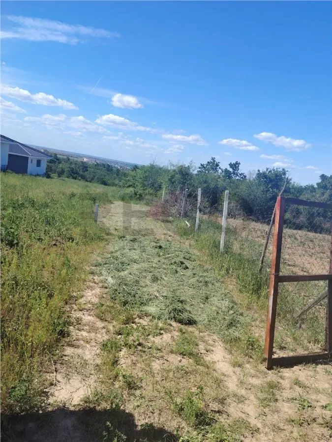RECO Teren intravilan Paleu - foto 1