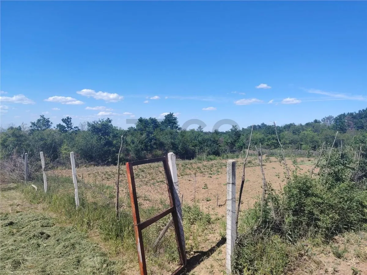 RECO Teren intravilan Paleu - foto 3