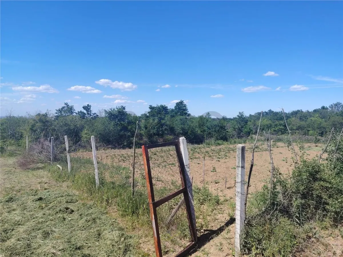 RECO Teren intravilan Paleu - foto 4
