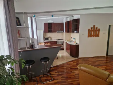 Apartament 2 camere zona Judetean,mobilat-utilat,119000 Euro - foto 3