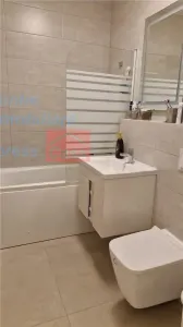 Apartament 2 camere de inchiriat, Freya Home, Bucium - foto 12