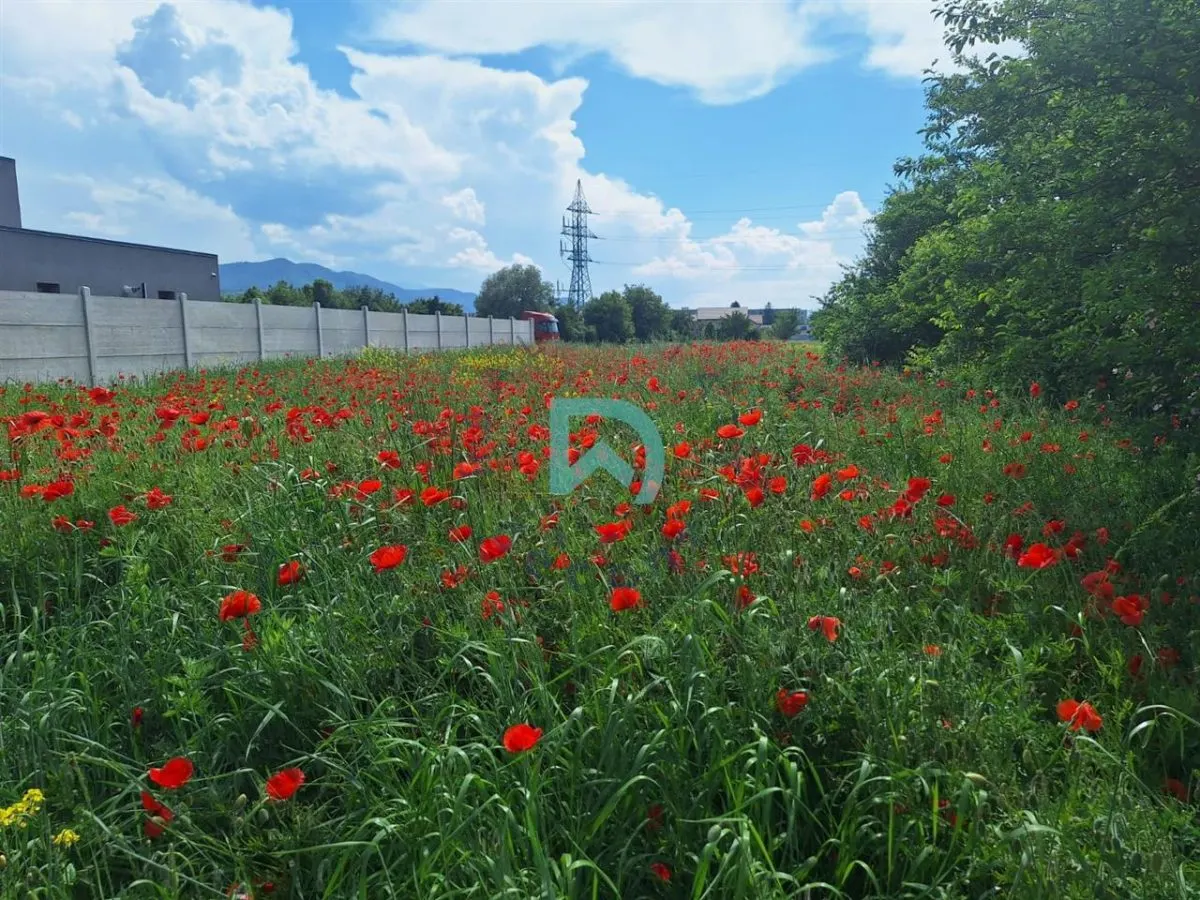 Teren intravilan de vanzare Bartolomeu  Brasov - foto 6