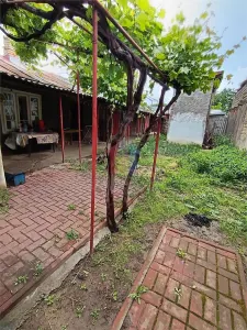 Casa 4 camere, Brailita, Sup Terenului 387 mp - foto 3