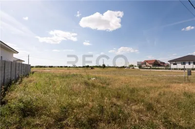 RECO Teren intravilan Grigorescu, gaz si curent - foto 10