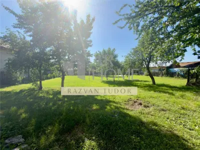 Casa 4 camere , cu beci ,1681m2 teren , Boldesti Scaeni - foto 3