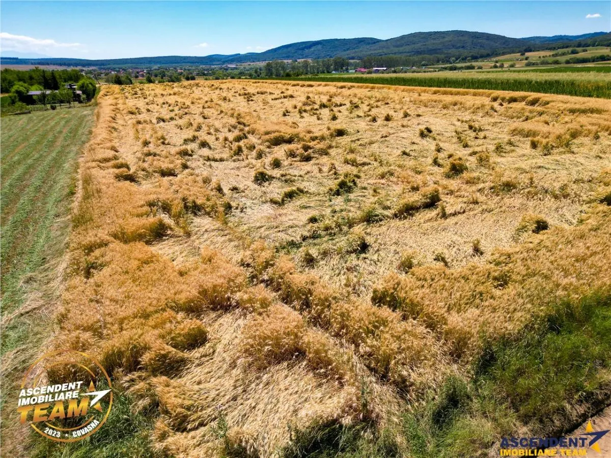 FILM! Valea Crisului,2.300mp,in vecinatatea lacului,aproape de Sfantu Gheorghe - foto 4