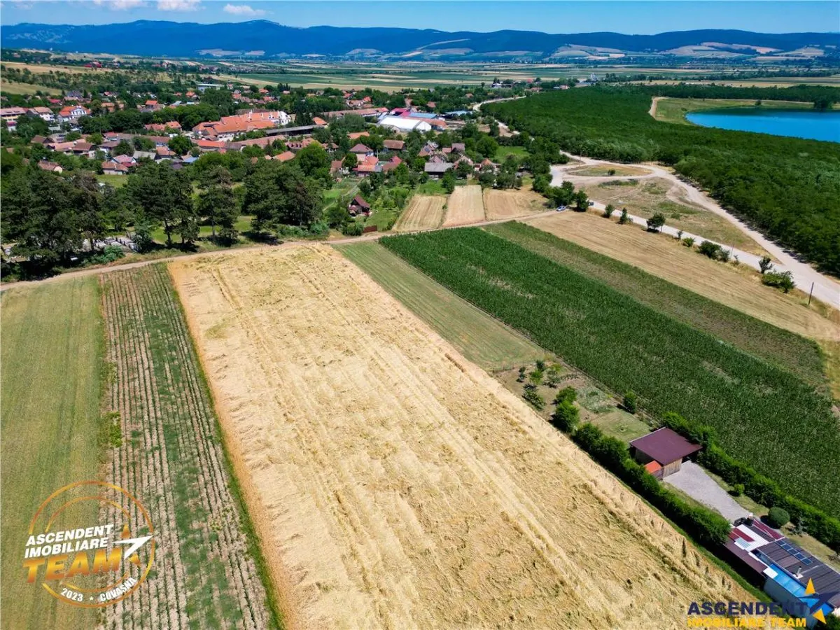 FILM! Teren extravilan, Valea Crisului, Covasna - foto 1