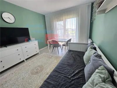 OPORTUNITATE! Proprietate deosebita de vanzare | Casa, 13.200 mp teren, doua iazuri cu peste | Raducaneni, Iasi - foto 11