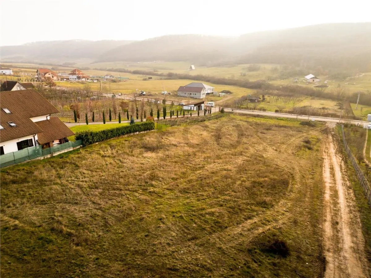 RECO Teren intravilan  Sanmartin- langa padure - foto 3