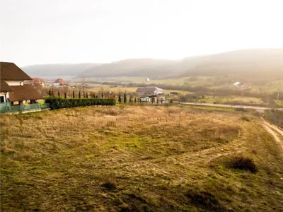 RECO Teren intravilan  Sanmartin- langa padure - foto 7
