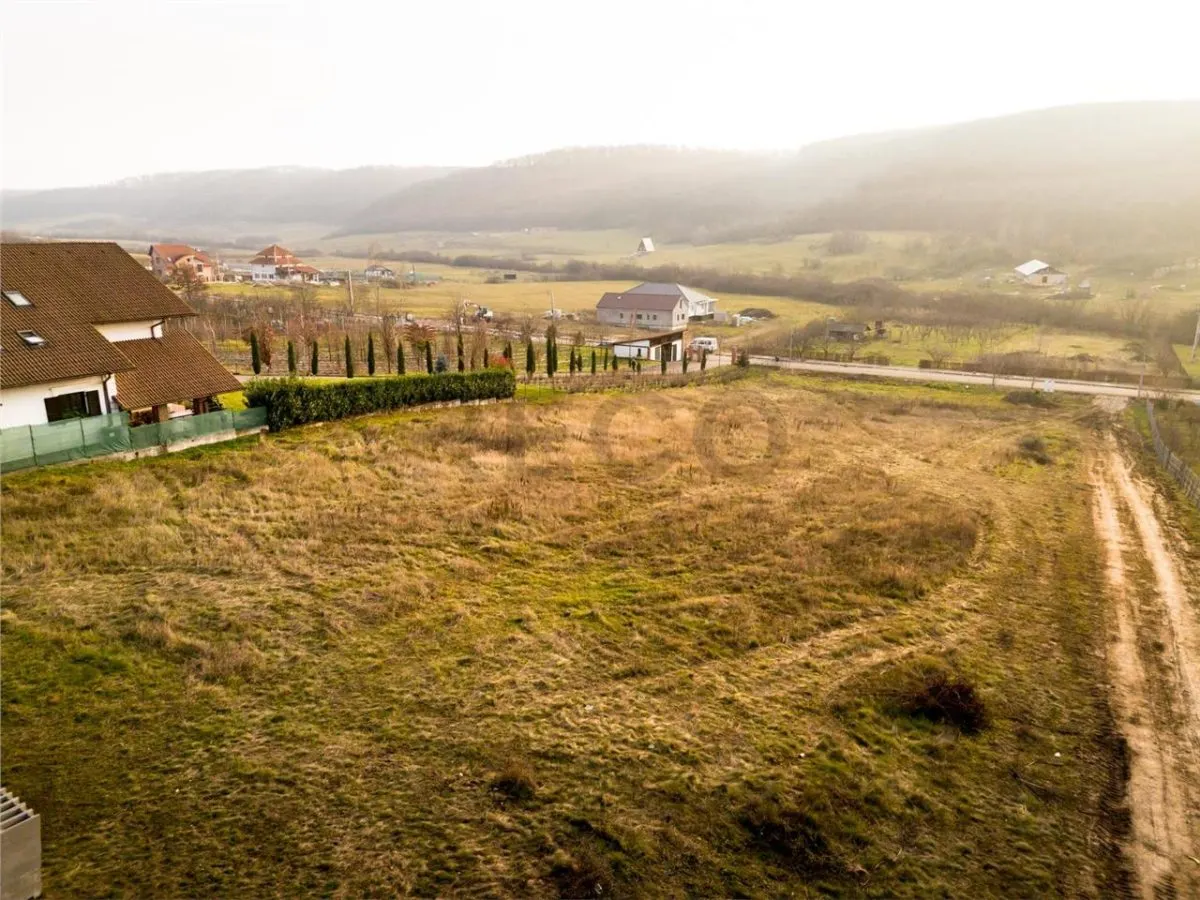 RECO Teren intravilan  Sanmartin- langa padure - foto 8
