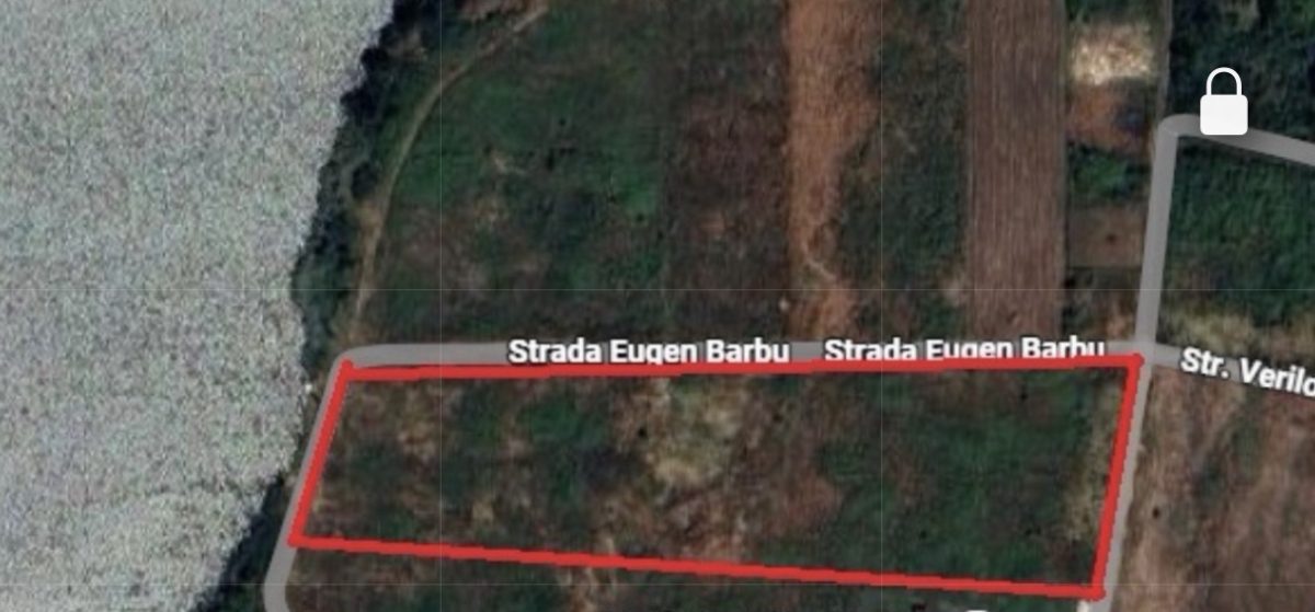 VANZARE TEREN CU DESCHIDERE LA LAC 20.000 mp MOGOSOAIA zona  MARTHA BIBESCU - foto 2