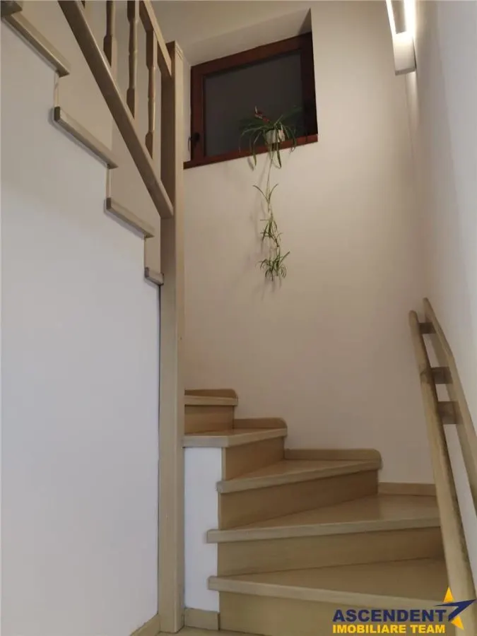 Casa individuala mobilata, utilata, P+M, 500 mp teren,  Sanpetru, Brasov - foto 4