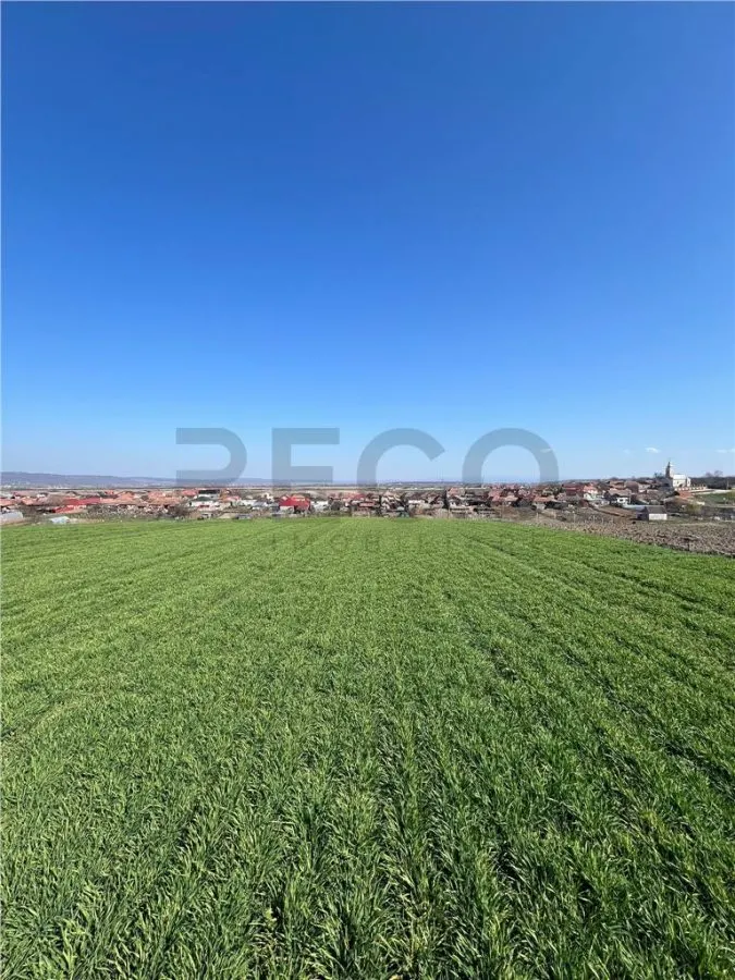 RECO Teren extravilan, zona Cheriu, 5375 mp, utilitati in zona, cu posibilitate e trecere in intravilan - foto 2