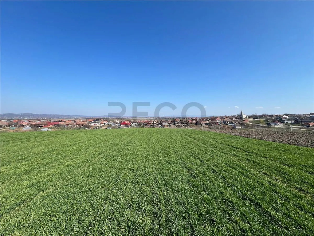 RECO Teren extravilan, zona Cheriu, 5375 mp, utilitati in zona, cu posibilitate e trecere in intravilan - foto 8
