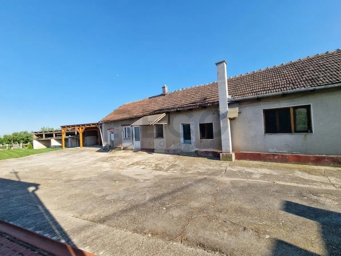 RECO Proprietate cu 2 case si teren mare in Girisu de Cris - foto 24