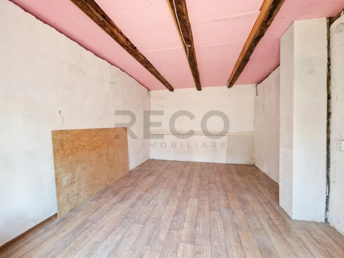 RECO Proprietate cu 2 case si teren mare in Girisu de Cris - foto 25