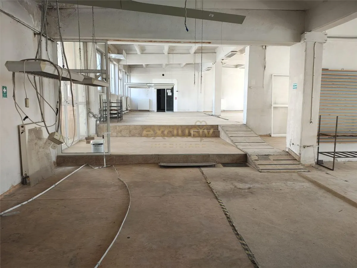 Hala mica productie, showroom  Bartolomeu - foto 1