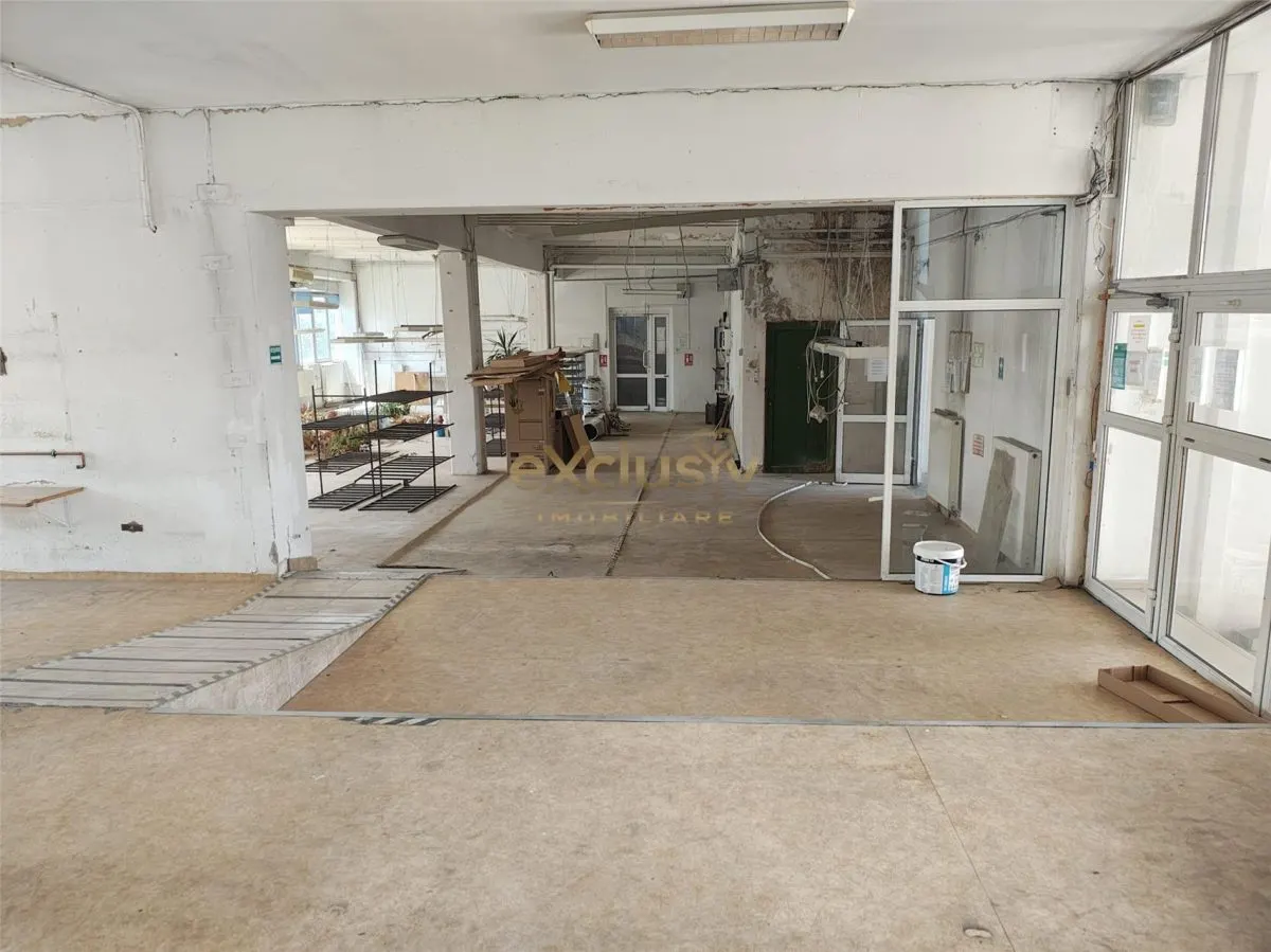 Hala mica productie, showroom  Bartolomeu - foto 3