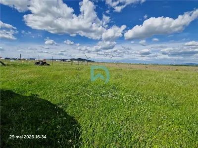 Teren intravilan, Sanpetru, 500 mp - foto 4