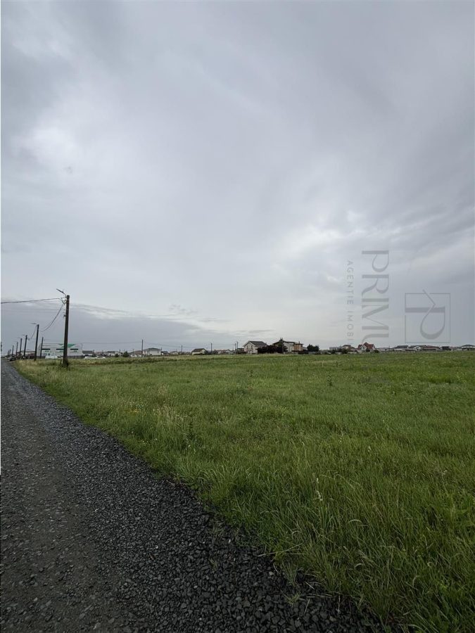 Terenuri- MOSNITA NOUA- TOATE UTILITATILE- suprafete cuprinse intre 665 si 1.182 mp - foto 4