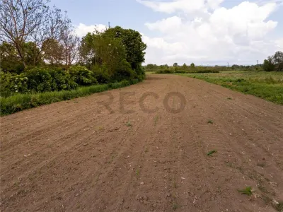 RECO Teren intravilan Holod - foto 5