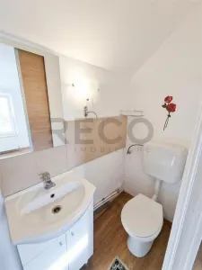 RECO Casa renovata complet la curte comuna in Cantemir - foto 13