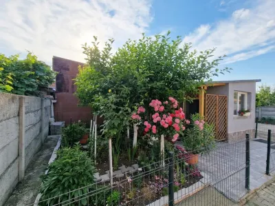 RECO Casa renovata complet la curte comuna in Cantemir - foto 21