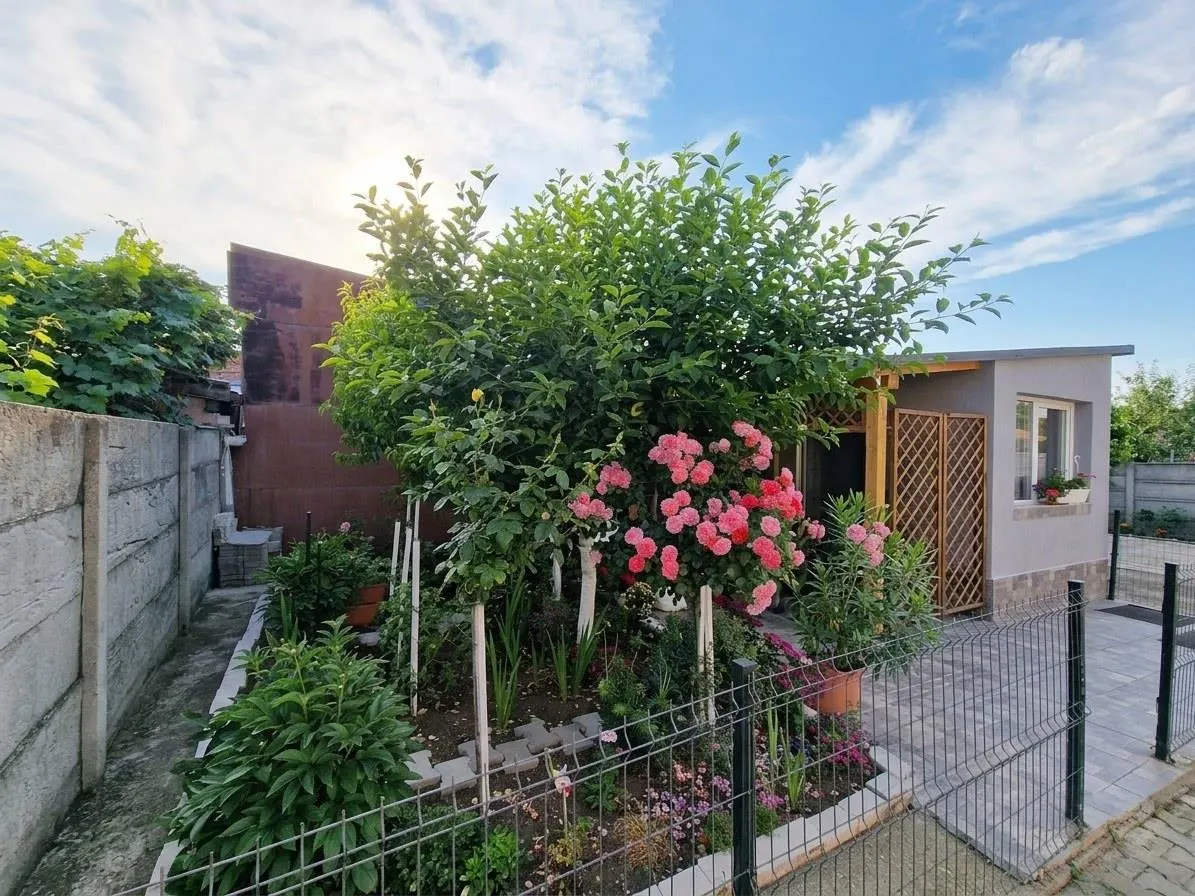 RECO Casa renovata complet la curte comuna in Cantemir - foto 21