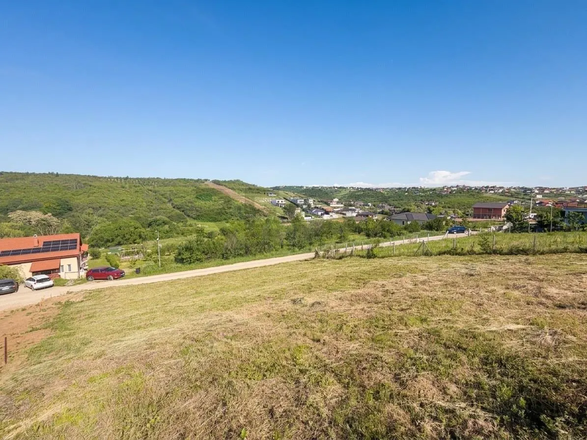 RECO Teren 1000 mp cu dublu front stradal in Saldabagiu de Munte - foto 2