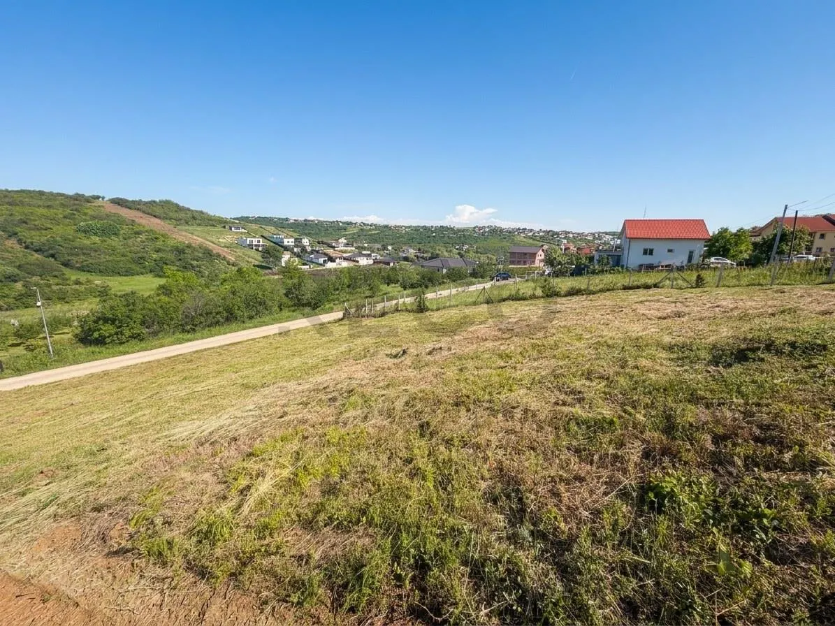 RECO Teren 1000 mp cu dublu front stradal in Saldabagiu de Munte - foto 3