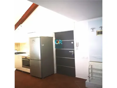 Apartament 3 camere pe doua nivele - Hameiului - foto 6